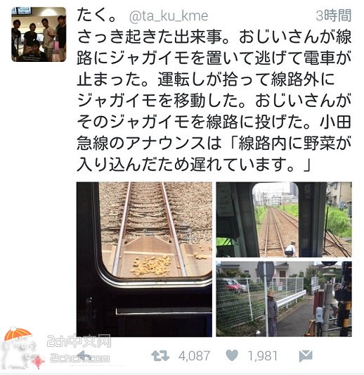 2ch：【悲报】日本老头把土豆放在铁轨上导致电车停驶