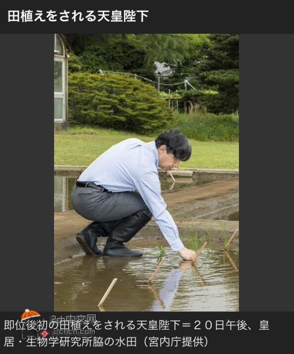 2ch：【悲报】日本新天皇在种田时也穿着西装皮鞋……