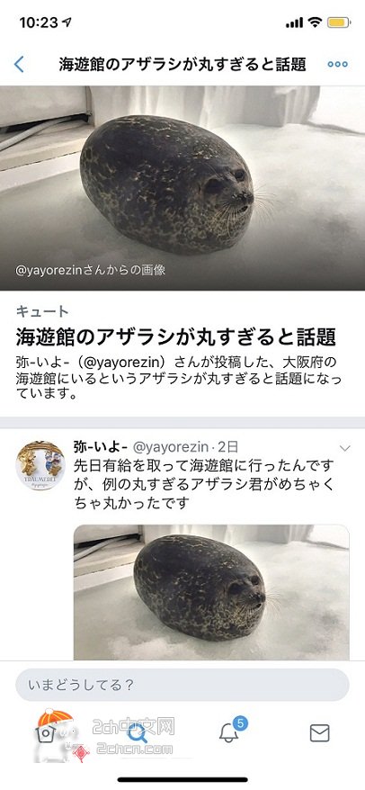 2ch：日本海游馆的石头太圆了成为话题