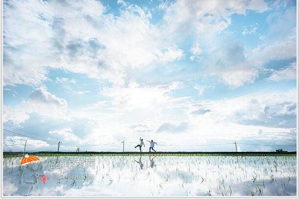 2ch：日本鸟取雨后的水田如同“天空之镜”乌尤尼盐沼