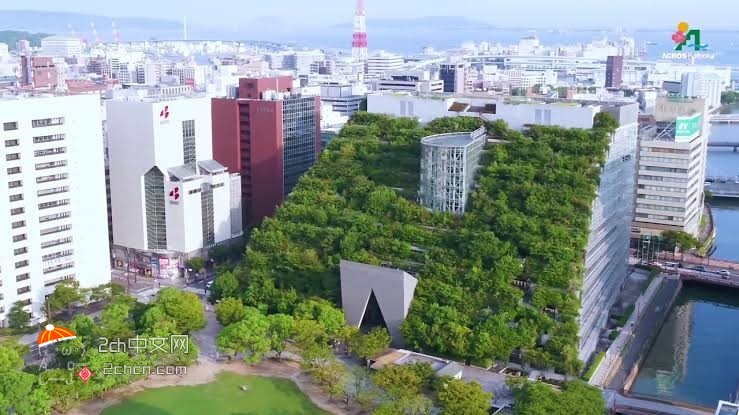 2ch：日本“60年后变成森林”的大楼，已经茁壮成长了25年