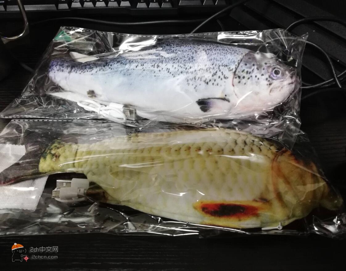 2ch：我在亚马逊上花7日元购买的鱼送到了