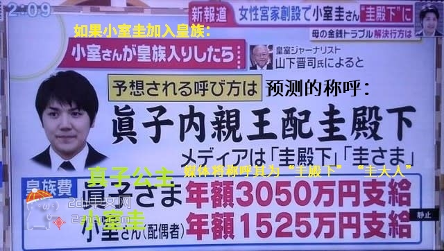2ch：【好消息】如果小室圭加入日本皇族，就能摇身一变成为年收入超千万日元的土豪