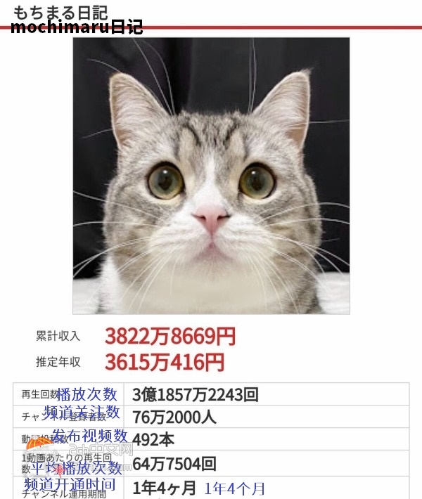 2ch：日本的猫年收入3600万日元www