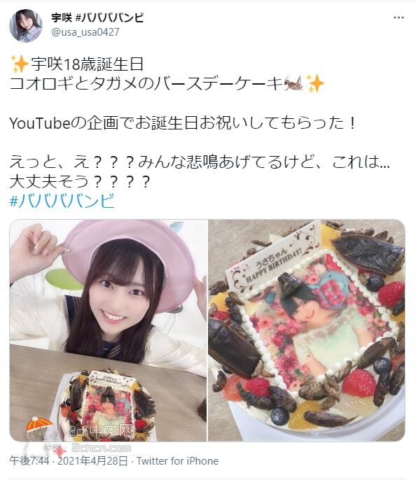 2ch：日本地下偶像18岁的生日蛋糕太糟糕