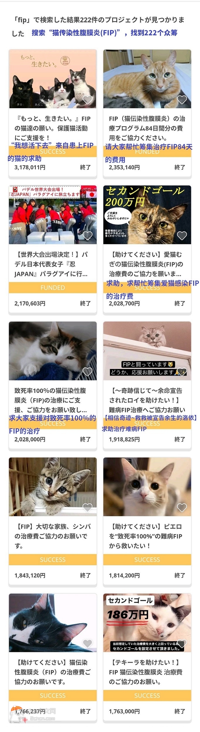 2ch：【悲报】日本流行利用猫进行众筹