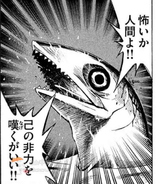 2ch：日本北海道的沙丁鱼谜之大量死亡www