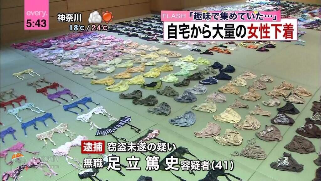 2ch：日本男性盗窃大量狸子被捕