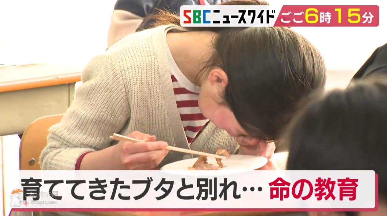 2ch：日本小学女生一边哭一边吃猪肉