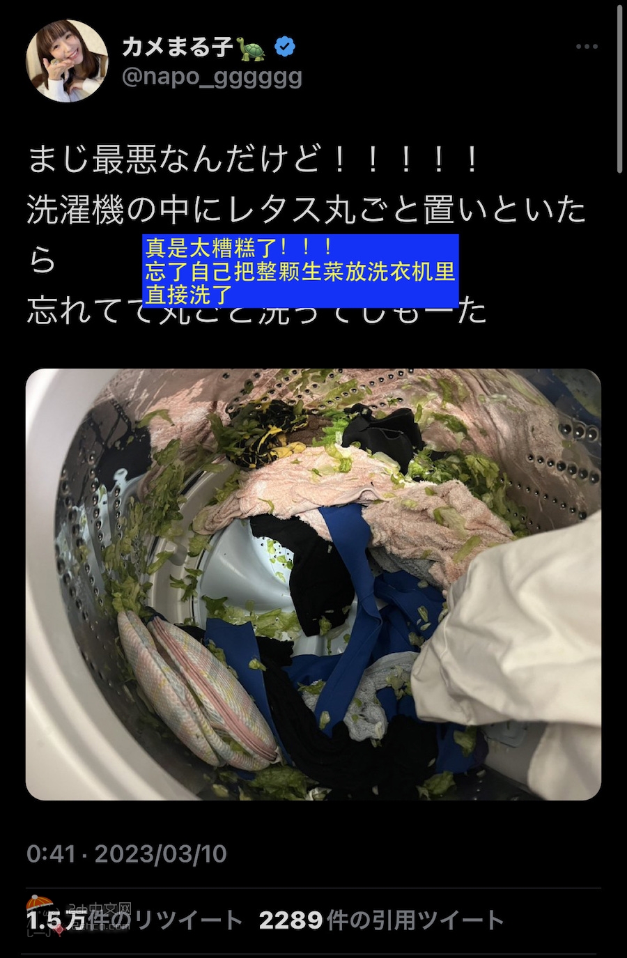 2ch：【悲报】日本妹子忘记自己把生菜放洗衣机里直接洗衣服的结果