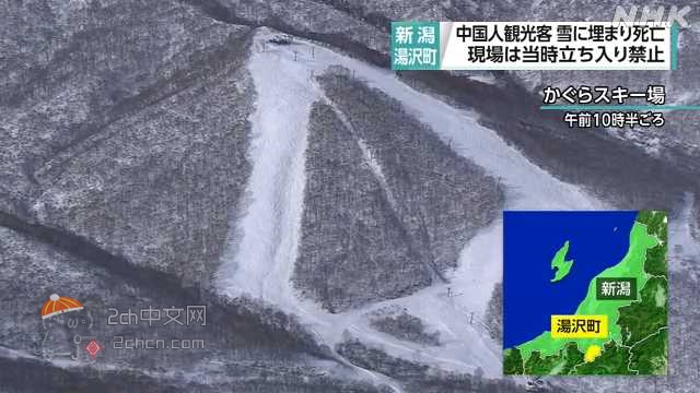 日本网民评论：中国籍女性在禁止区域滑雪遭新雪掩埋死亡