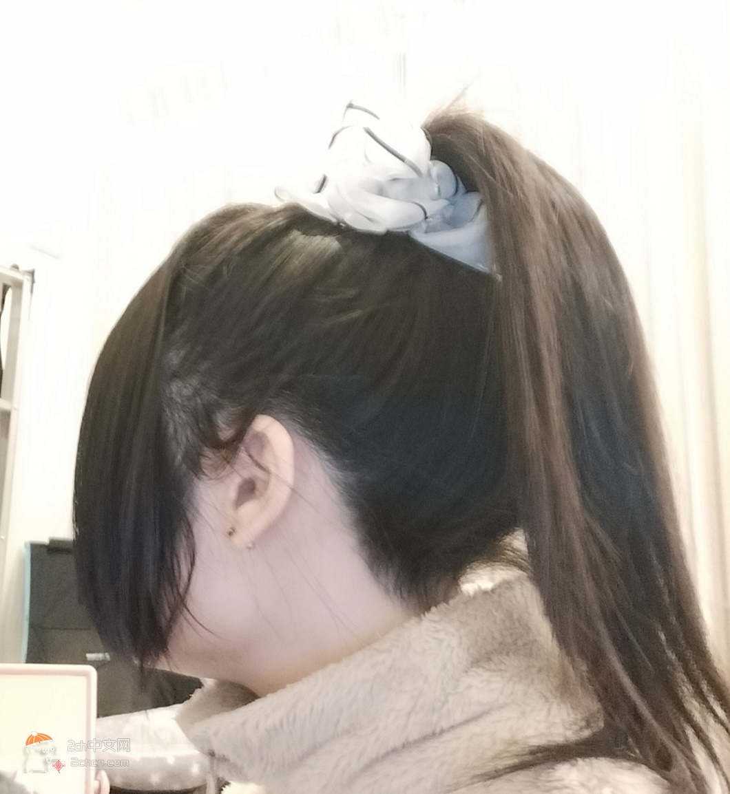日本2ch网民：马尾是最棒的发型