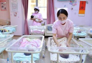 2ch：中国的新生儿数量不知不觉变成了一半