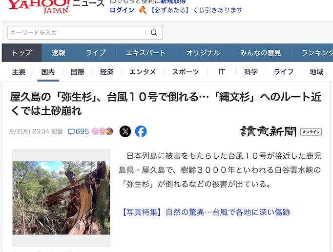 2ch：日本3000年树龄的「弥生杉」被10号台风吹倒……日本之宝消失了