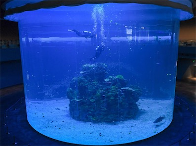 2ch：深圳水族馆的鲸鲨竟然是机器鱼，游客气得要求退款