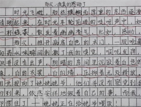 日本网民：中国人的文字全都是汉字，写的时候不觉得累吗？