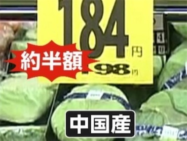 2ch：中国产卷心菜成为日本人的救世主，日本人爆买大量进口的中国产卷心菜